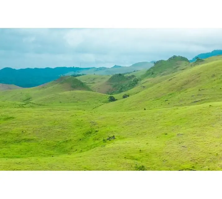 Gunung Teletubies yang terletak di Pulau Buton